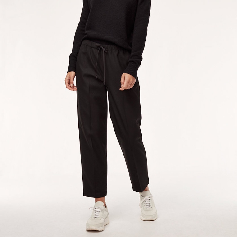 Aritzia // Babaton Trouser